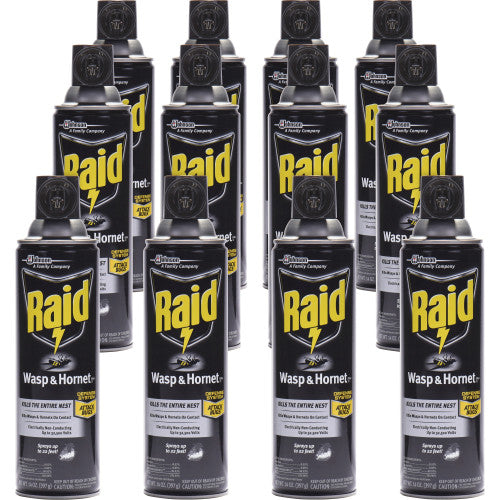 Raid Wasp and Hornet Killer, 14 oz Aerosol Spray, 12/Carton (668006)