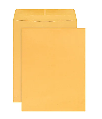 Brand 10" x 13" Manila Catalog Envelopes, Gummed Seal, Brown Kraft, Box Of 250 (SPRS331088)
